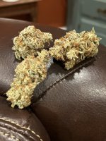 IMG_9102.JPG IMG_9102.JPG