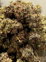 IMG_9122.JPG IMG_9122.JPG