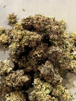 IMG_9124.JPG IMG_9124.JPG