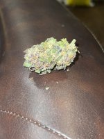 IMG_9131.JPG IMG_9131.JPG