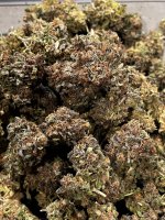 IMG_9144.JPG IMG_9144.JPG