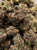 IMG_9146.JPG IMG_9146.JPG