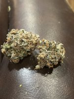 IMG_9154.JPG IMG_9154.JPG