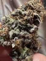 IMG_9166.JPG IMG_9166.JPG