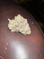 IMG_9167.JPG IMG_9167.JPG