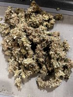 IMG_9185.JPG IMG_9185.JPG