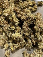 IMG_9183.JPG IMG_9183.JPG