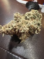 IMG_9191.JPG IMG_9191.JPG