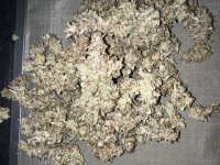 IMG_9201.JPG IMG_9201.JPG