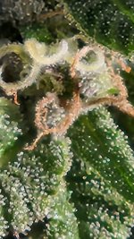 20221014_091214.jpg 20221014_091214.jpg