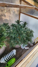 20221014_101814.jpg 20221014_101814.jpg