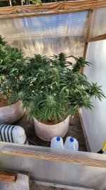 20221014_101829.jpg 20221014_101829.jpg