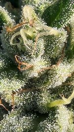 20221014_091013.jpg 20221014_091013.jpg