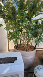 20221014_101607.jpg 20221014_101607.jpg