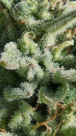 20221016_150302.jpg 20221016_150302.jpg