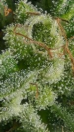 20221016_150349.jpg 20221016_150349.jpg