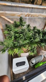 20221016_150410.jpg 20221016_150410.jpg