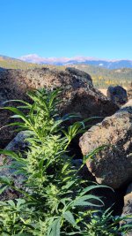 20221017_101515.jpg 20221017_101515.jpg