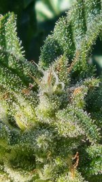 20221017_102039.jpg 20221017_102039.jpg