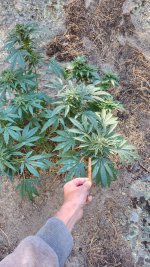 20221017_102931.jpg 20221017_102931.jpg