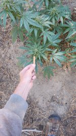 20221017_103024.jpg 20221017_103024.jpg