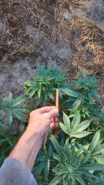 20221017_103119.jpg 20221017_103119.jpg