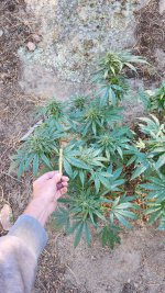 20221017_103048.jpg 20221017_103048.jpg