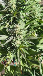 20221017_104520.jpg 20221017_104520.jpg