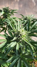 20221017_104647.jpg 20221017_104647.jpg