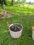 IMG_20200609_100155803.jpg
