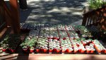 16_20180503_100504.jpg