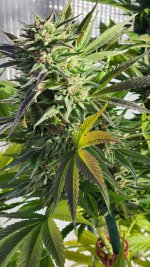 20221022_091125.jpg 20221022_091125.jpg