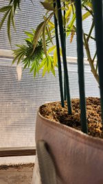 20221022_094951.jpg 20221022_094951.jpg