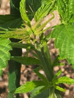 20220731_104212.jpg 20220731_104212.jpg