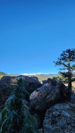 20221024_091108.jpg 20221024_091108.jpg