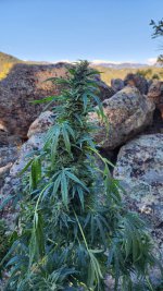 20221024_091118.jpg 20221024_091118.jpg