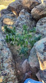 20221024_091232.jpg 20221024_091232.jpg