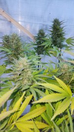 20221024_083050.jpg 20221024_083050.jpg