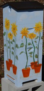 Screenshot_20220822-070454_Samsung Internet.jpg