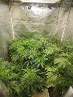 20221028_181650.jpg 20221028_181650.jpg