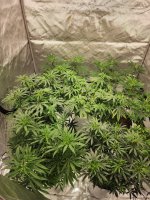 20221028_181634.jpg 20221028_181634.jpg