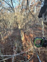 IMG_20221108_074353524_HDR.jpg IMG_20221108_074353524_HDR.jpg