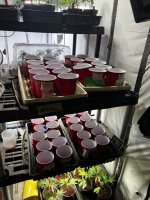 IMG_0902.JPG
