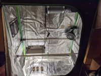 PXL_20221107_225532142 (1).jpg