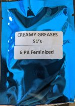 PXL_20221026_172922012 (2).jpg