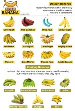 Types-of-Banana.jpg