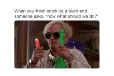smoking-weed-meme-1024x683.jpg