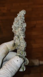 20221114_212159.jpg 20221114_212159.jpg