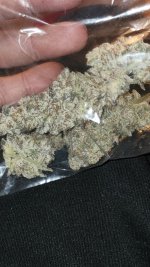 20221112_202319.jpg 20221112_202319.jpg