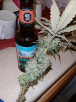 IMG_20221116_185917.jpg IMG_20221116_185917.jpg